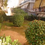 φυτά σχημάτων, ευρωστία φυτών, ευρωστία, fyta sxhmatvn, fita sximaton