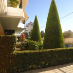 φυτά σχημάτων, ευρωστία φυτών, ευρωστία, fyta sxhmatvn, fita sximaton