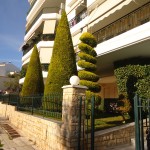 φυτά σχημάτων, ευρωστία φυτών, ευρωστία, fyta sxhmatvn, fita sximaton