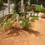 βραχόκηπος, τριφύλλι, αυτόματο πότισμα, braxokhpos, braxokipos, aytomato potisma, δίκτυο άρδευσης