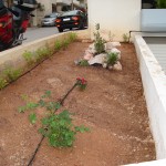 κήπο, κατασκευή κήπου, αρχιτεκτονική κήπου
