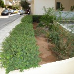 κήπος, αυτόματο πότισμα, aytomato potisma, kipos, κηπος στη νεα σμυρνη