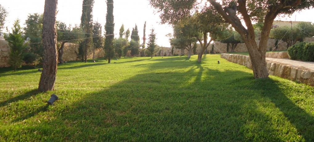 Πράσινη όαση στην Ανάβυσσο