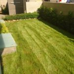 khpos sto kamatero, kataskeyh khpoy sto kamatero, κατασκευή κήπου στο καματερό, κατασκευη κηπου στο καματερο, καματερο, κηπος στο καματερο, κήπος στο καματερό