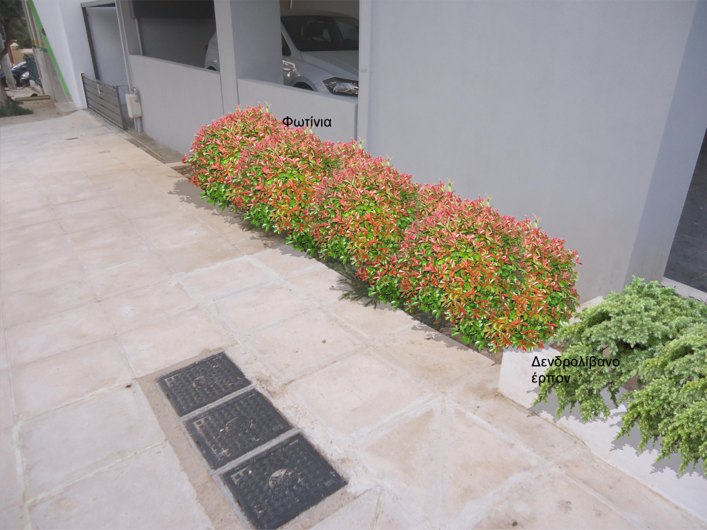 This image has an empty alt attribute; its file name is Σχέδιο-κήπου-3-1.bmp